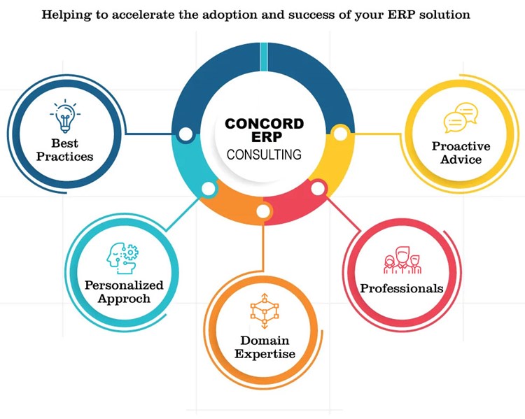 Business Process Consultation