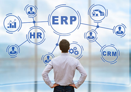 ERP Software Support