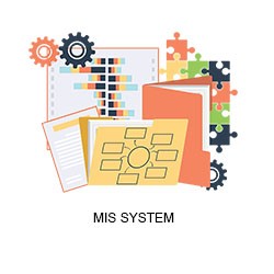 MIS System MIS System